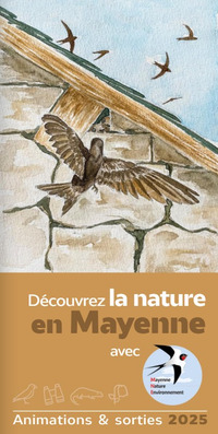 Fresque de la biodiversité