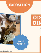 Expo oiseaux et dinosaures