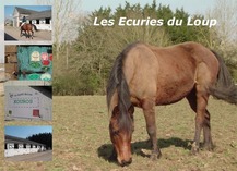 LES ECURIES DU LOUP - Saint-Loup-du-Dorat