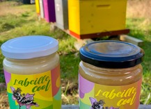 L'ABEILLE COOL - Château-Gontier-sur-Mayenne