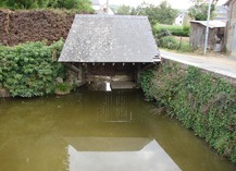 Lavoir du village - Saint-Denis-d'Anjou