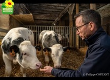 PATRICE PAILLARD : VIANDE DE VEAU - Pommerieux