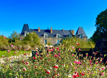 Spectacles, stages et formations au Château de Linières - Val-du-Maine