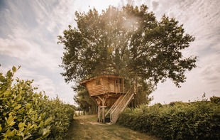 LA CHOUETTE CABANE - Pommerieux