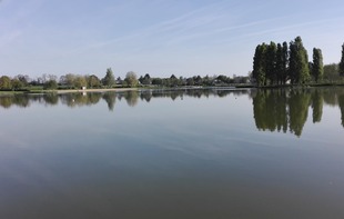 PARCOURS DE PÊCHE "LABEL FAMILLE" DE LA CHESNAIE - Saint-Denis-du-Maine