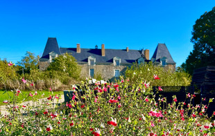 Spectacles, stages et formations au Château de Linières - Val-du-Maine