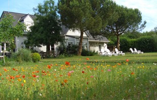 CHAMBRES D'HOTES VALLOMBRY - Ménil