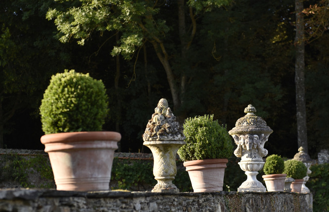 Les jardins du Château de la Rongère 4 - La Roche-Neuville