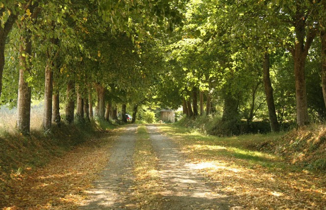 Chambre d'hôte la Gilardière - Chambre luxe 9 - Gennes-Longuefuye