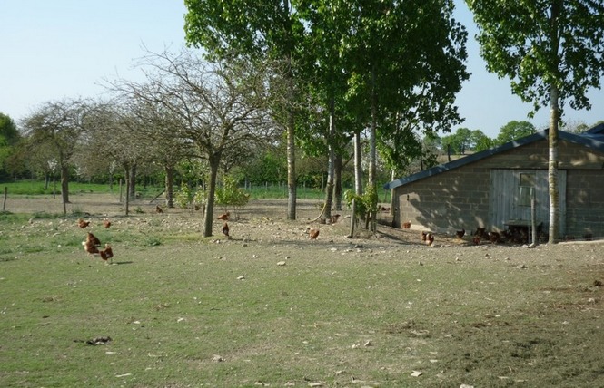 LE LOGIS DU PLESSIS 6 - Marigné-Peuton