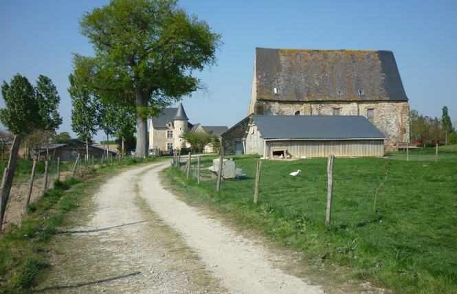 LE LOGIS DU PLESSIS 2 - Marigné-Peuton