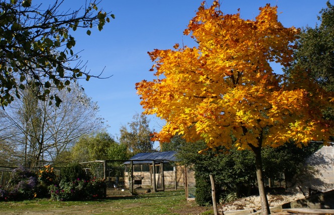 Camping la Viotterie 20 - La Boissière