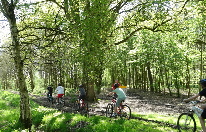 BASE DE LA RINCERIE - ACTIVITE VTT 2 - La Selle-Craonnaise