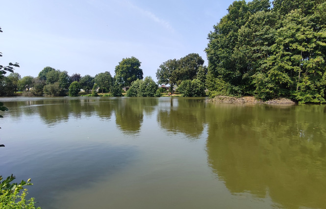 ESPACE TOURISTIQUE DU MÛRIER 7 - Craon