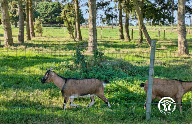 LA GRANDE PERRINE, JUSQU'À 4 PERSONNES 5 - Athée