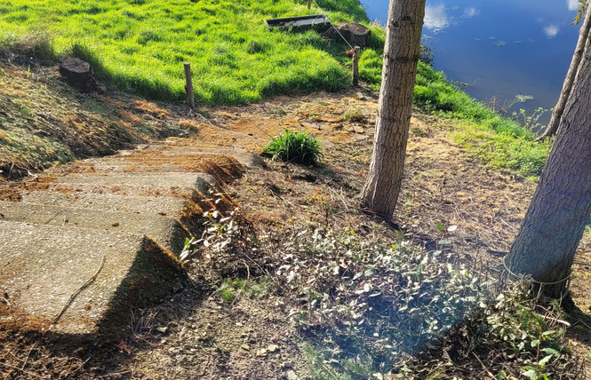 GÎTE LE DAVID, 4 PERSONNES 7 - Bouchamps-lès-Craon