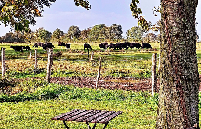 GÎTE LE PLESSIS 9 - Gennes-Longuefuye