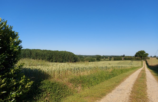 LES PETITS POIRIERS 28 - La Roche-Neuville