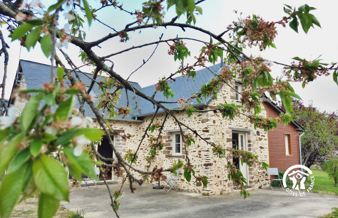 LA ROCHE, JUSQU'À 4 PERSONNES 4 - La Roche-Neuville