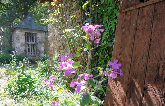 LE LOGIS DE MAISONNEUVE 47 - Ruillé-Froid-Fonds