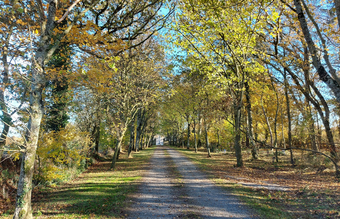 LE LOGIS DE MAISONNEUVE 10 - Ruillé-Froid-Fonds