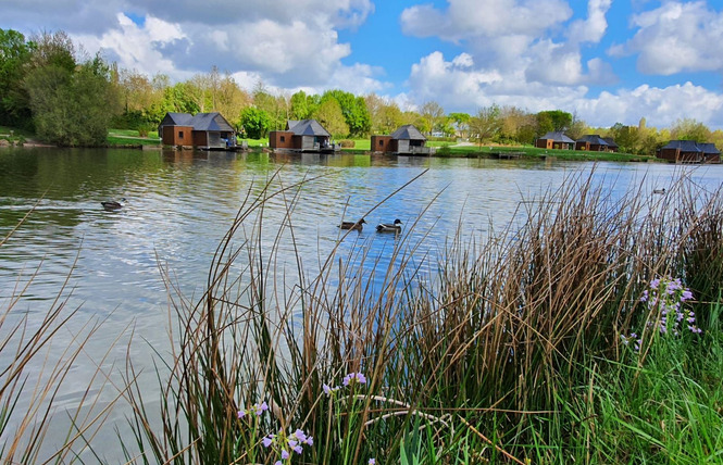 CHALET LE SANDRE, LES PIEDS DANS L'EAU, 5-7 PERS 38 - Villiers-Charlemagne