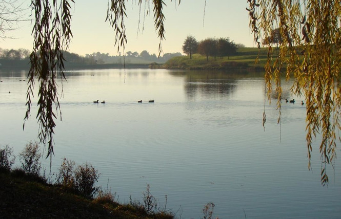 CHALET LA CARPE, LES PIEDS DANS L'EAU, 5-7 PERS 39 - Villiers-Charlemagne