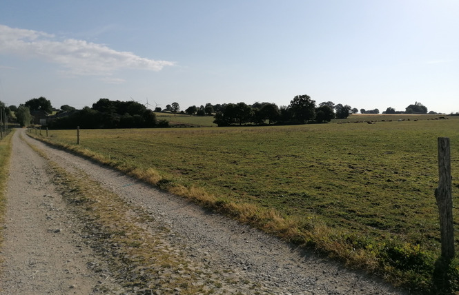 GÎTE DU PETIT LÉVARÉ 4 - Cossé-le-Vivien