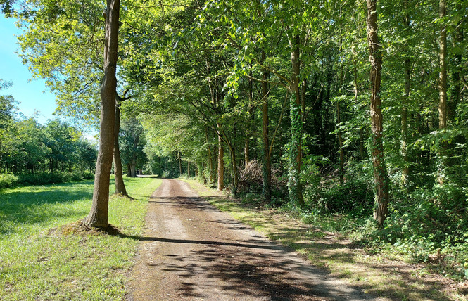 GÎTE DU BOIS DE LA LANDELLE 42 - Château-Gontier-sur-Mayenne