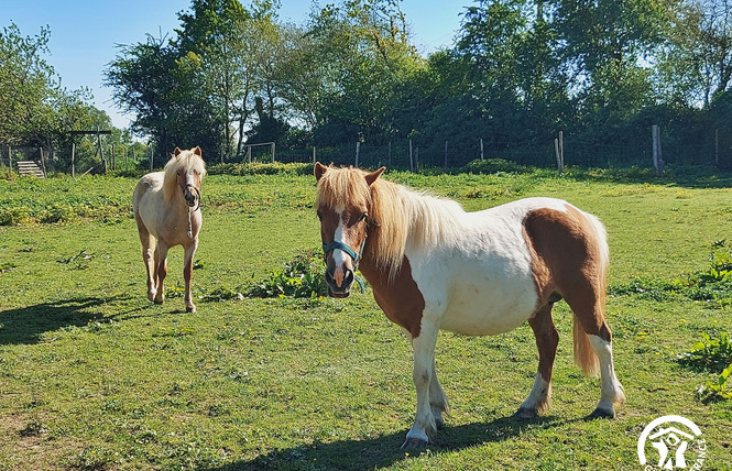 LA MAISON AU DOMAINE DU NAIL, GÎTE 6 PERS 7 - Mée