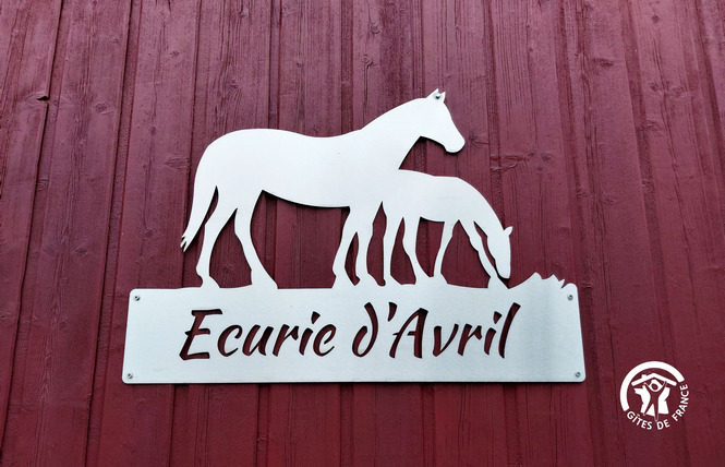 ECURIE D'AVRIL 8 - Saint-Aignan-sur-Roë