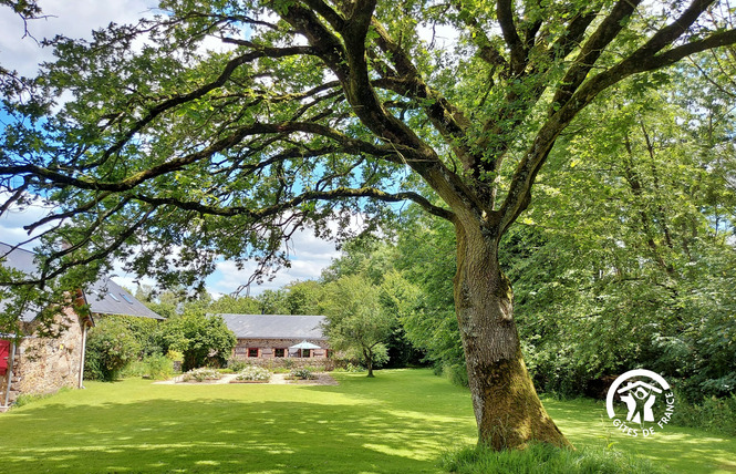 Maison du Petit Bois 10 - Le Bignon-du-Maine