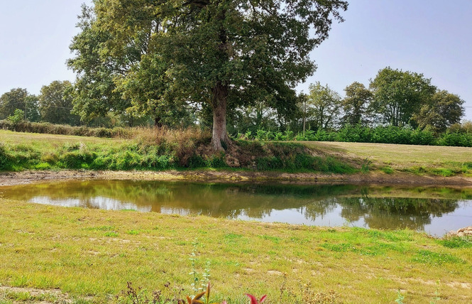 GÎTE DU GOLF - GARY PLAYER 25 - Château-Gontier-sur-Mayenne