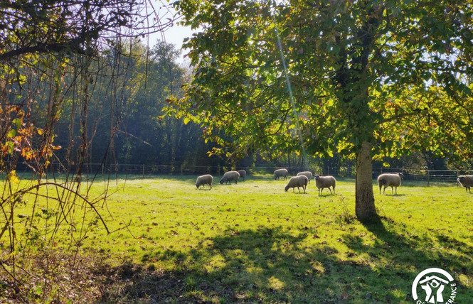 LE GÎTE DU MEUNIER, MARGUÉ, 6 PERS 38 - Prée-d'Anjou