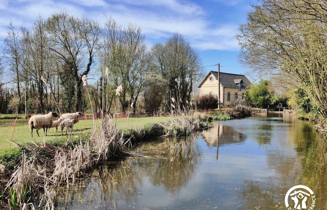 LE GÎTE DU MEUNIER, MARGUÉ, 6 PERS 8 - Prée-d'Anjou