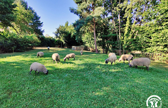 LE GÎTE DU MEUNIER, MARGUÉ, 6 PERS 4 - Prée-d'Anjou