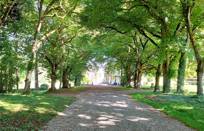 CHOUETTE LA VALETTE, GÎTE VUE SUR MAYENNE, 14 PERSONNES 10 - Villiers-Charlemagne