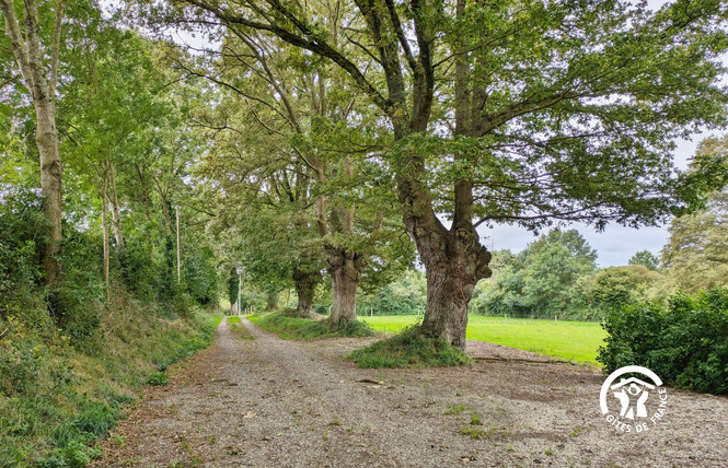 LE MOULIN RENAUD 45 - Prée-d'Anjou