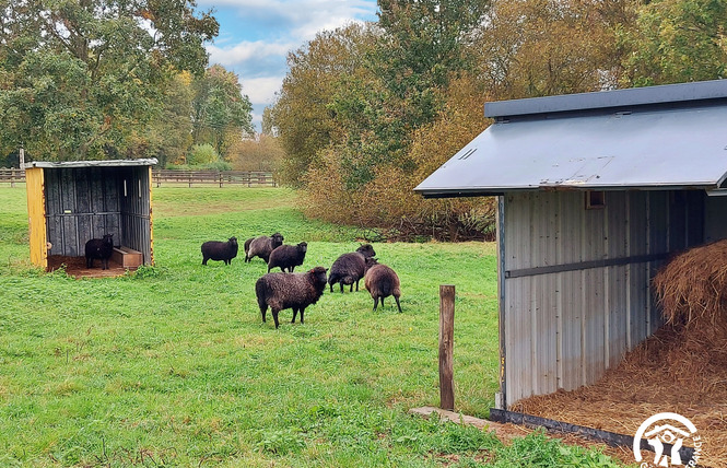 CABANE HULOTTE, JUSQU'À 2 PERSONNES 45 - Pommerieux