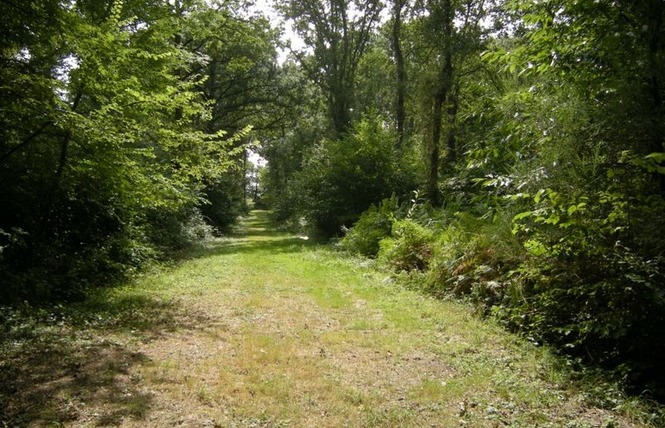 Chalets du Village Nature 5 - Saint-Charles-la-Forêt