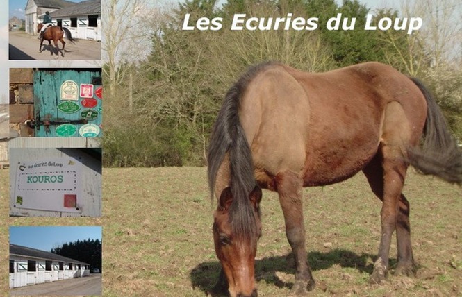 LES ECURIES DU LOUP 1 - Saint-Loup-du-Dorat