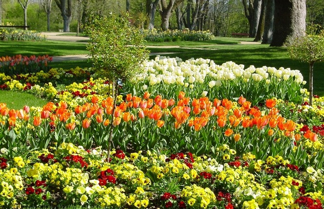 JARDIN DU BOUT DU MONDE 11 - Château-Gontier-sur-Mayenne