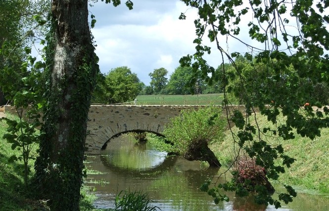 Jardin du Château des Arcis 3 - Meslay-du-Maine