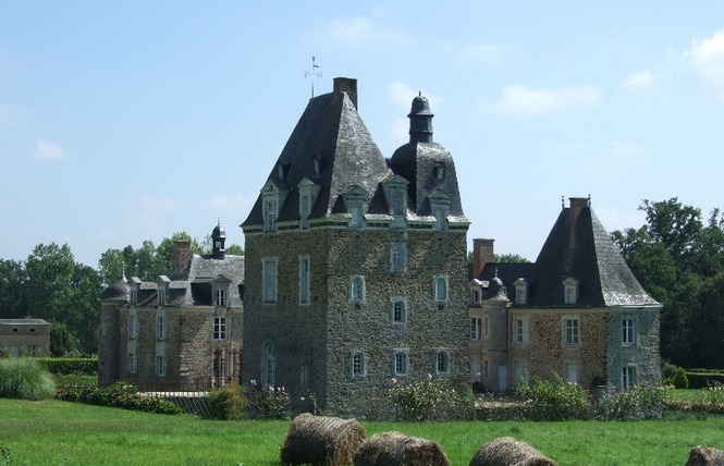 Château des Arcis 10 - Meslay-du-Maine