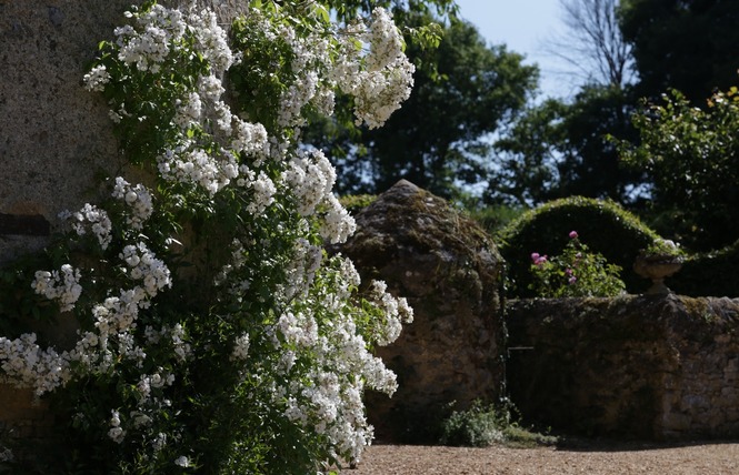 JARDINS DU MANOIR DE FAVRY 3 - Préaux