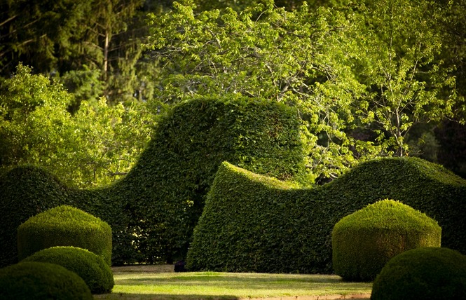 JARDINS DU MANOIR DE FAVRY 4 - Préaux