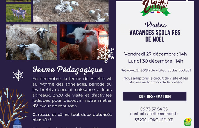 VISITE FERME PÉDAGOGIQUE VILLETTE EN DIRECT 1 - Gennes-Longuefuye