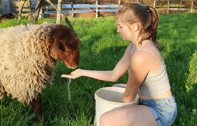 CAMPING A LA FERME LA VIOTTERIE 12 - La Boissière