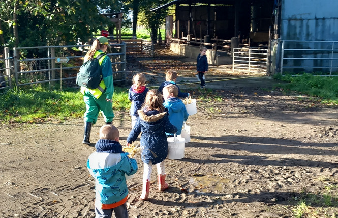 VISITE FERME PÉDAGOGIQUE VILLETTE EN DIRECT 9 - Gennes-Longuefuye