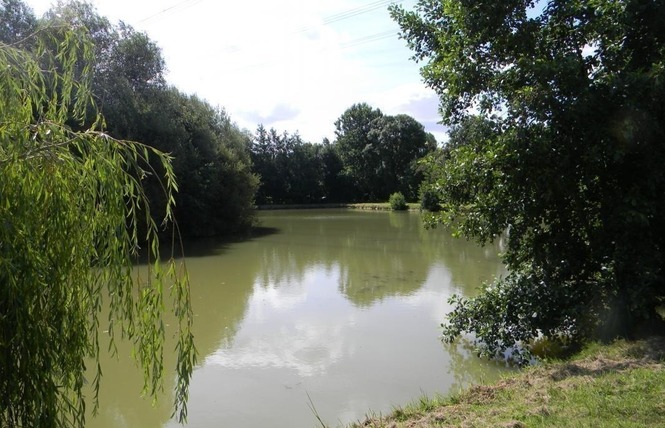 GÎTE ÉTAPE ET SÉJOUR - DOMAINE DES MILLE OISEAUX : LE GRAND PIAF 5 - Villiers-Charlemagne